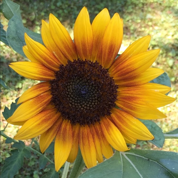 Brighten your day (two or more items equal bundle) - Picture 1 of 1